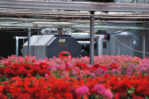 Una Pyrot da 540 kW riscalda 6.400 m²della Floricoltura Alberti Una Pyrot da 540 kW riscalda 6.400 m²della Floricoltura Alberti