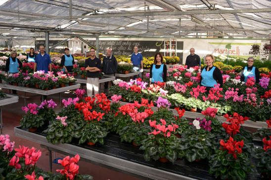 Dalla Ortles di Almar alimentata a pellet calore rinnovabile per la Floricoltura Martinelli Dalla Ortles di Almar alimentata a pellet calore rinnovabile per la Floricoltura Martinelli